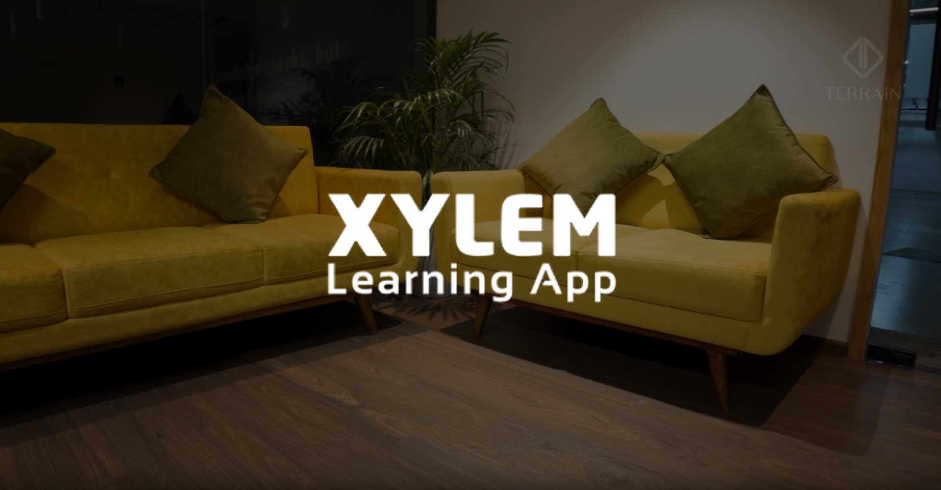 Xylem
